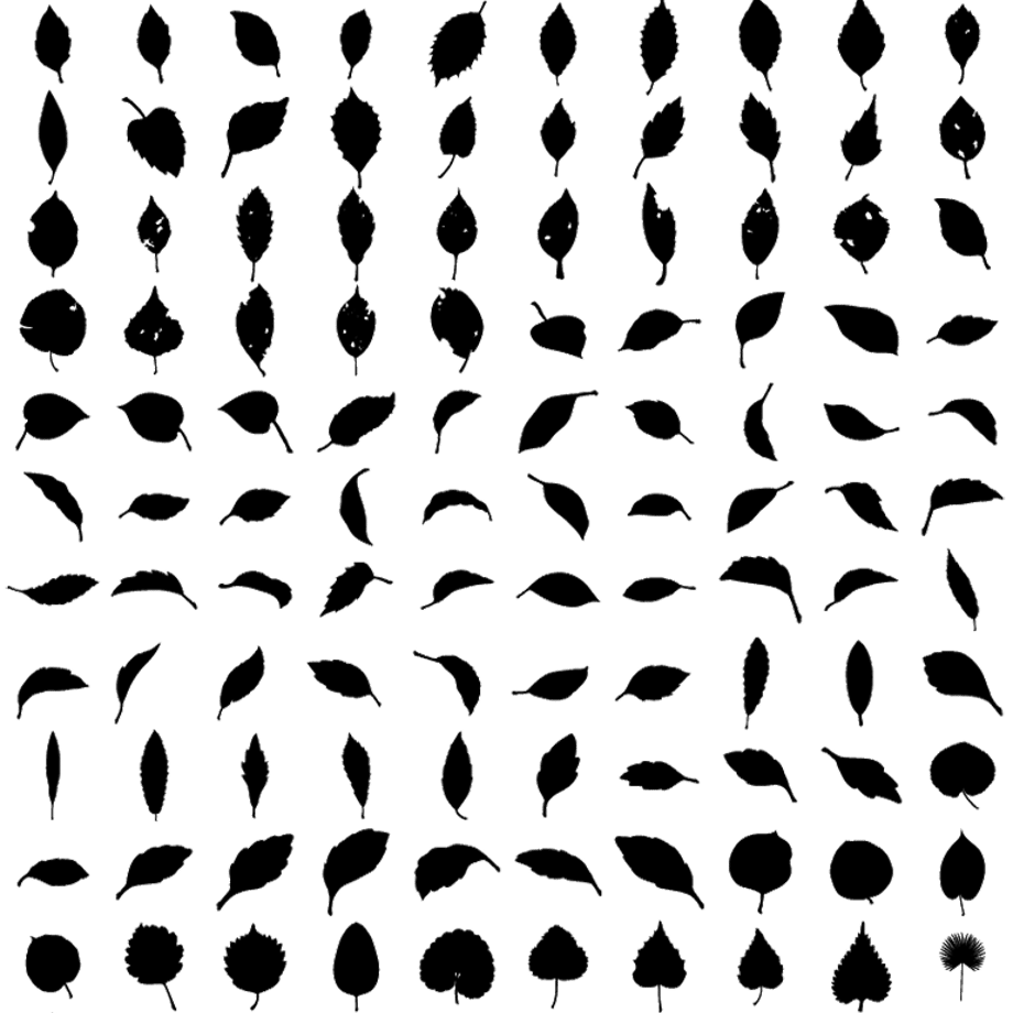 5c12ee6c2a28624c41cfb398