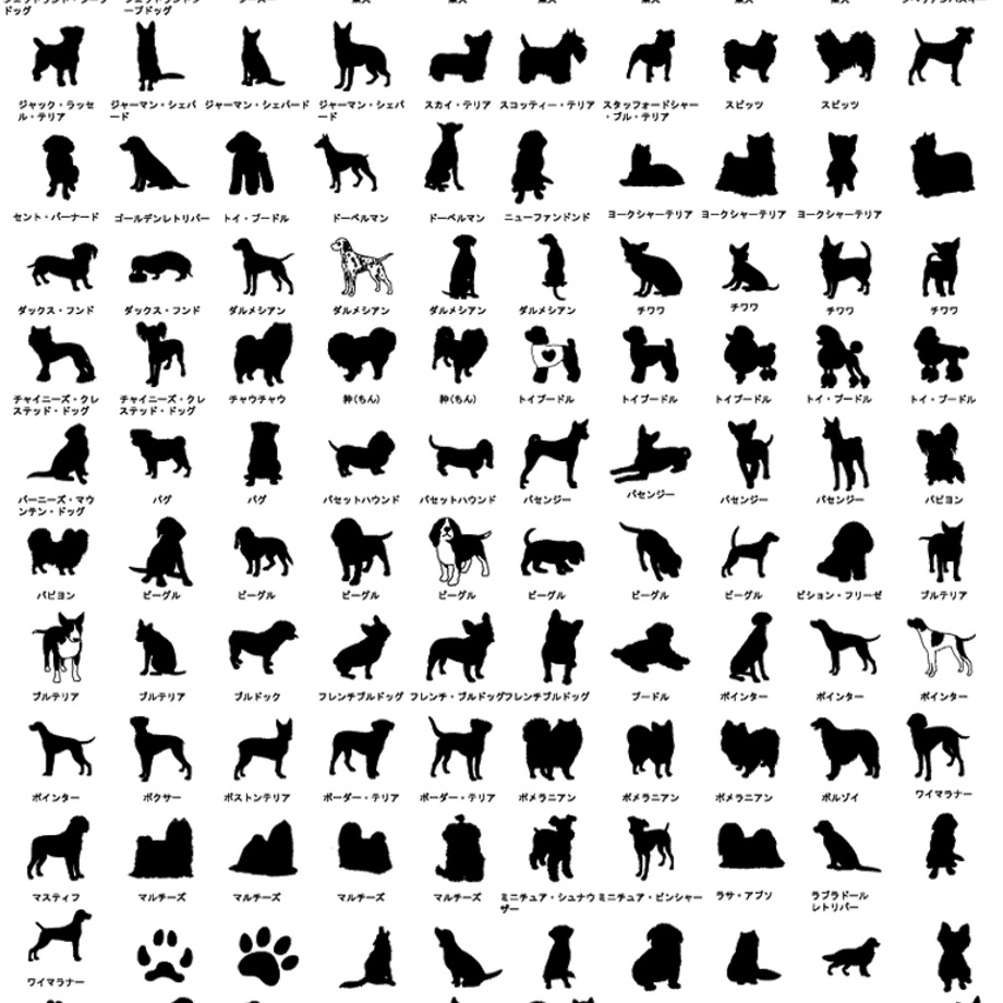 5c12ef3f2a28624c41cfb3dd