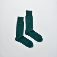 COTTON SOCKS / 25-27cm  Moss