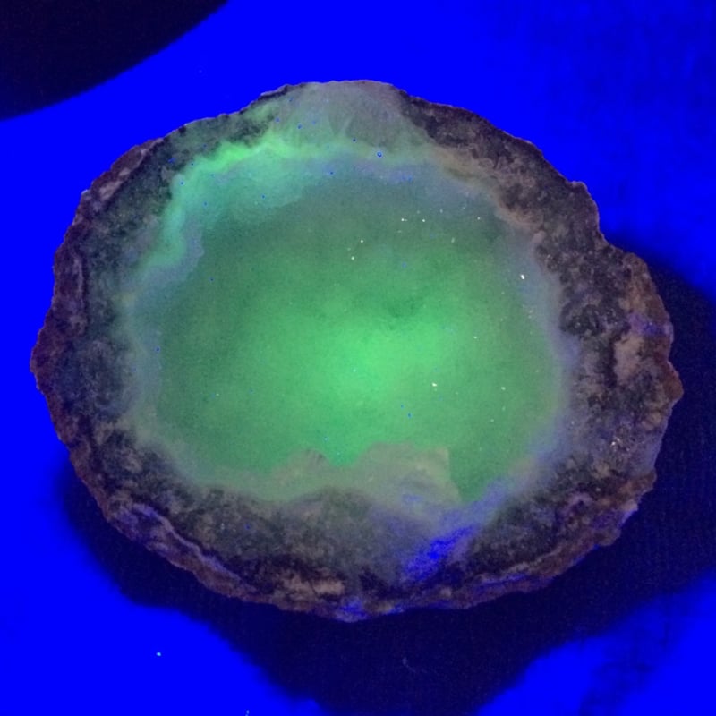 まっく⭐️　ウラシク！12点 Orangutan, Phantom Terra Beast | WIXOSS Wiki | Fandom