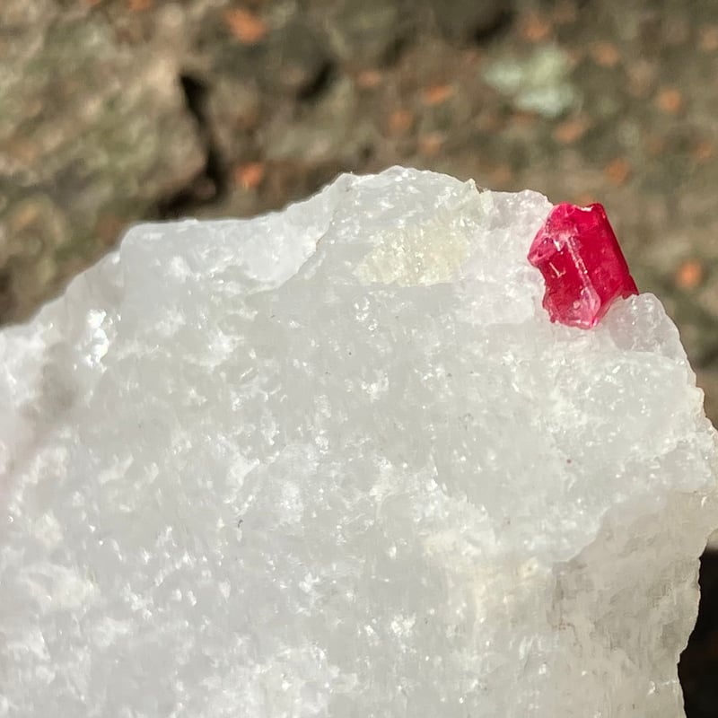 ミャンマー産 レッドスピネル 母岩付き原石 | MISAGO GEMS&MINERALS