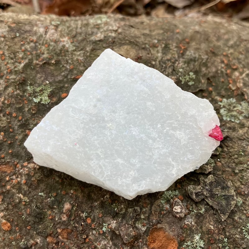 ミャンマー産 レッドスピネル 母岩付き原石 | MISAGO GEMS&MINERALS