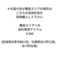 離島エリアでの送料専用アイテム