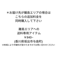離島エリアでの送料専用アイテム