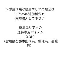 離島エリアでの送料専用アイテム