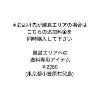 離島エリアでの送料専用アイテム