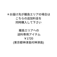 離島エリアでの送料専用アイテム