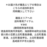 離島エリアでの送料専用アイテム