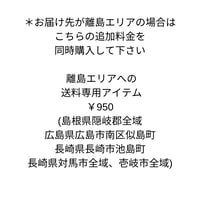 離島エリアでの送料専用アイテム