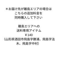 離島エリアでの送料専用アイテム