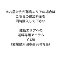 離島エリアでの送料専用アイテム