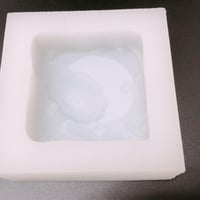 アサガオのシリコンモールド