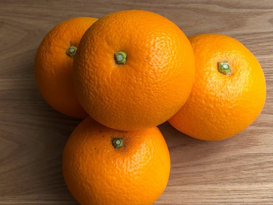 お試し 紅八朔 約2kg（6個）入り | AOKI FARM & DELI