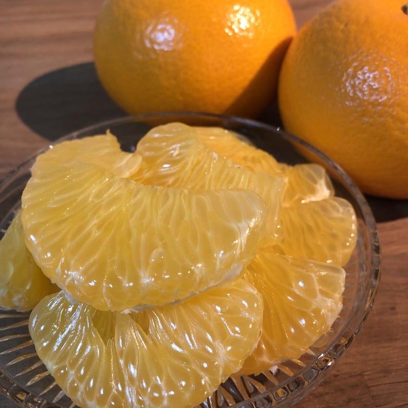 お試し 紅八朔 約2kg(6個)入り | AOKI FARM & DELI お試し 紅八朔 約2kg(6個)入り | AOKI FARM & DELI