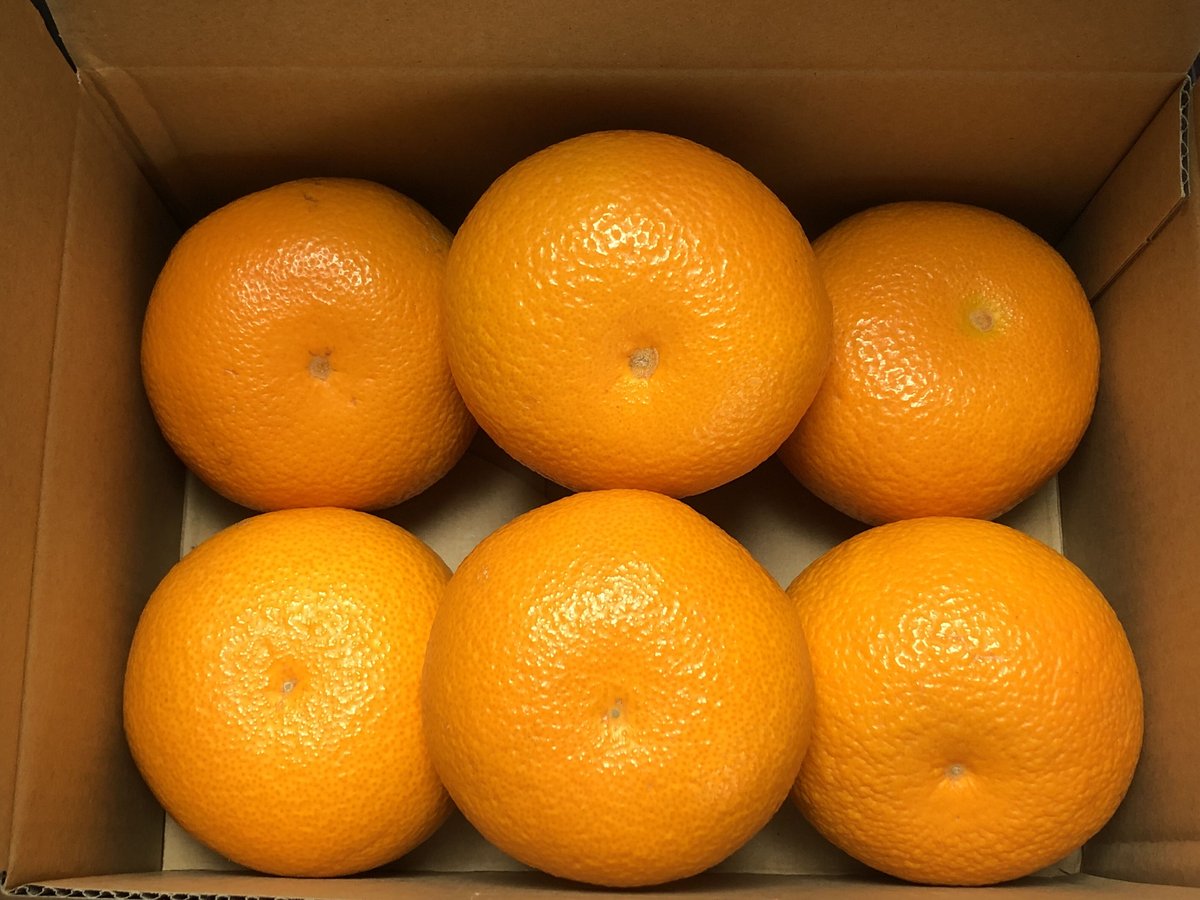 八朔　紅ぷり甘平2kg+ポンカン4.5kgぐるりん お試し 紅八朔 約2kg（6個）入り | AOKI FARM & DELI