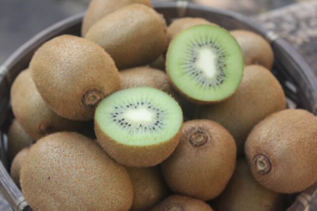 キウイフルーツ 3kg入箱 サイズ混合 | AOKI FARM & DELI