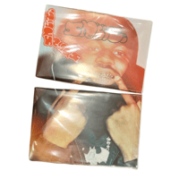 SNEEZE N°62 WINTER 2024 “the truth be told issue”