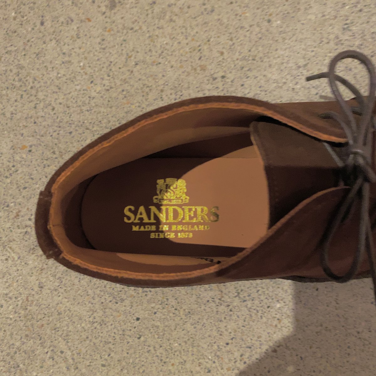 SANDERS Brit Chukka（ Polo Snuff ） | BTR