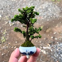 石化檜のマテリアル