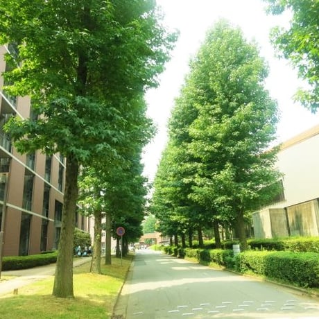 大学生が高校生に大学受験を教える”ダイカテ”（非会員）