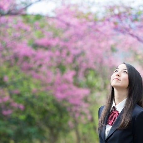 大学生が高校生に大学受験を教える”ダイカテ”（非会員）