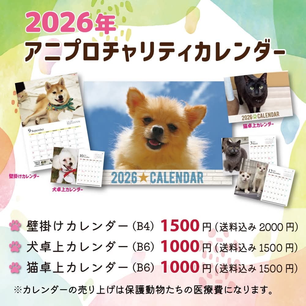 ①『犬』壁掛けチャリティーカレンダー10枚セット ☆予約販売☆【高額ご支援用】2026年アニプロオリジナル チャリティー