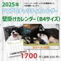 2025年アニプロオリジナル　犬チャリティーカレンダー　B4壁掛け