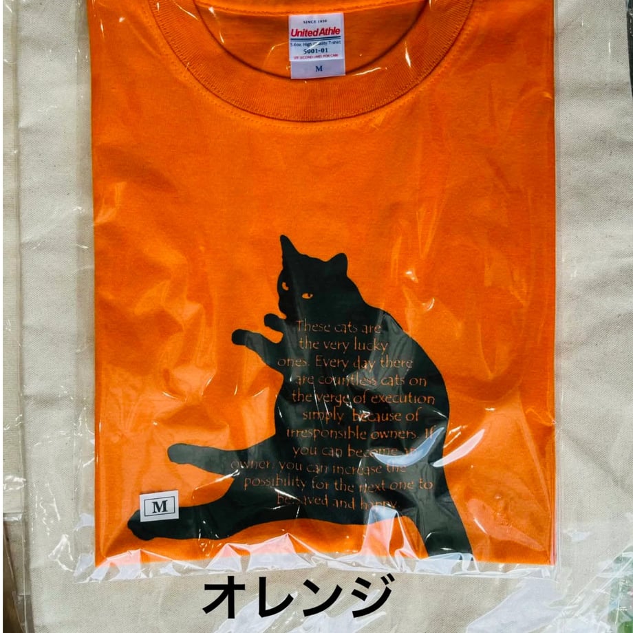 684d192c22d856ed1001d76b