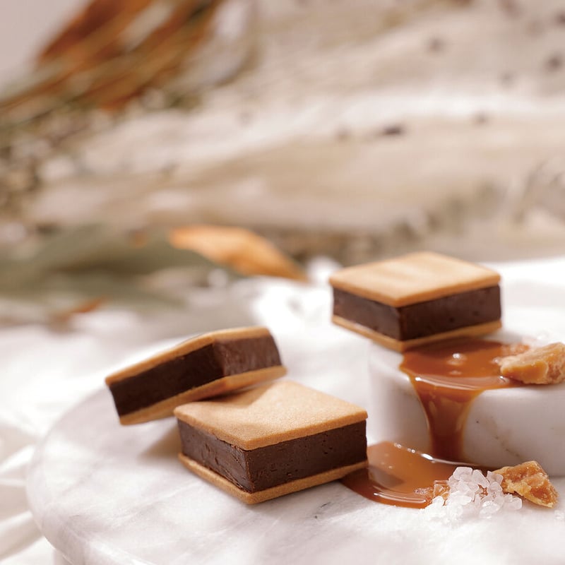 choco＊おまとめ割可 商品 レギュラー鳴子 チョコレート | 〈公式〉北菓楼オンラインショップ