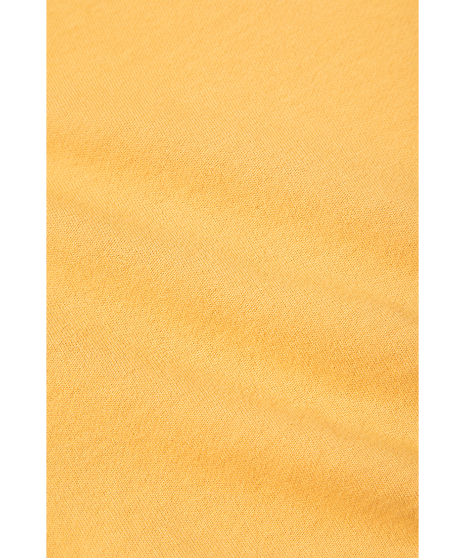 66dff2ab2390bc02179c1528