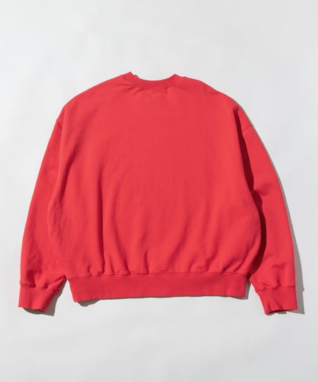 Disney / MINNIE SWEAT TOP【WCJ-TD-021RED】