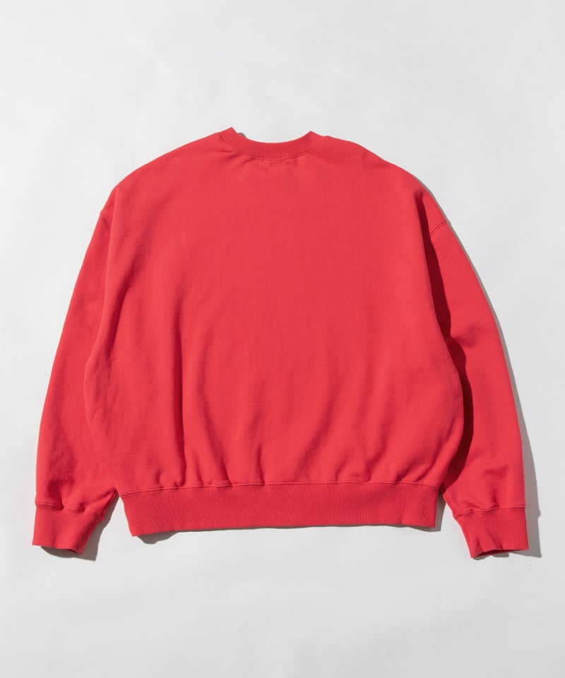 Disney / MINNIE SWEAT TOP【WCJ-TD-021RED】 | WCJ