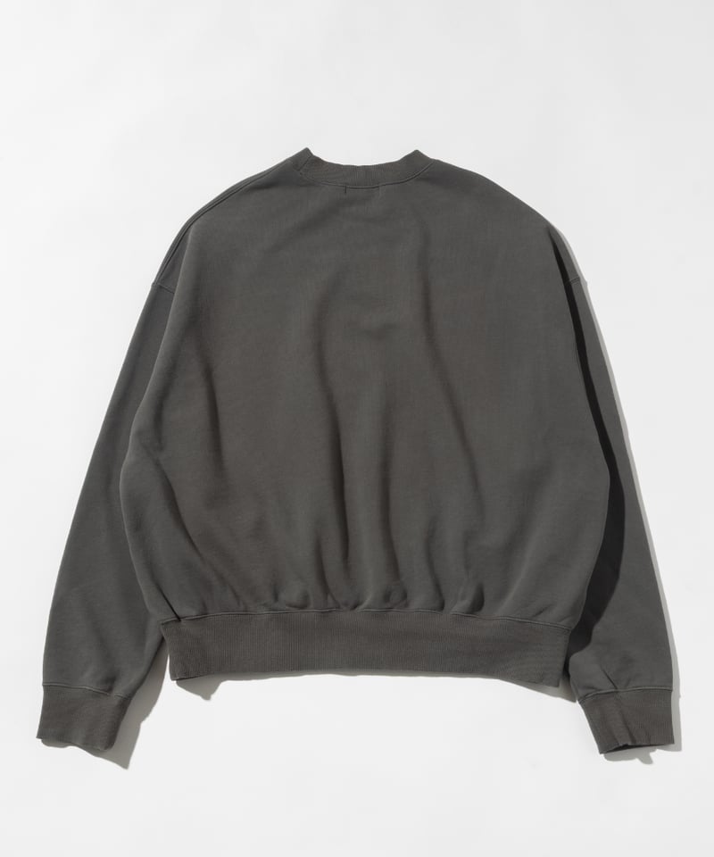 新品Disney / MINNIE SWEAT TOP ダークグレー Disney / MINNIE SWEAT TOP【WCJ-TD-021DGY】 | WCJ
