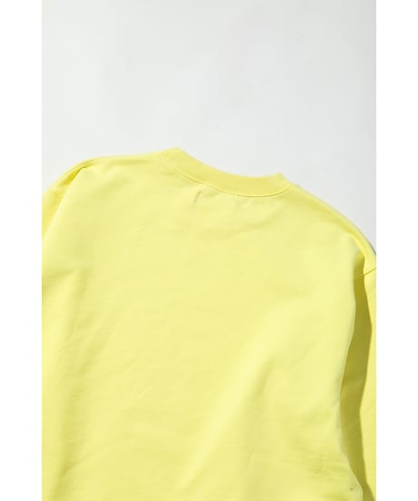 Disney / SWEAT TOP(プルート)【WCJ-TD-001LIM07】