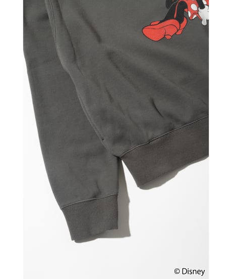 Disney / MINNIE SWEAT TOP【WCJ-TD-021DGY】