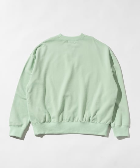 Disney / PETER PAN SWEAT TOP【WCJ-TD-038GRN17】
