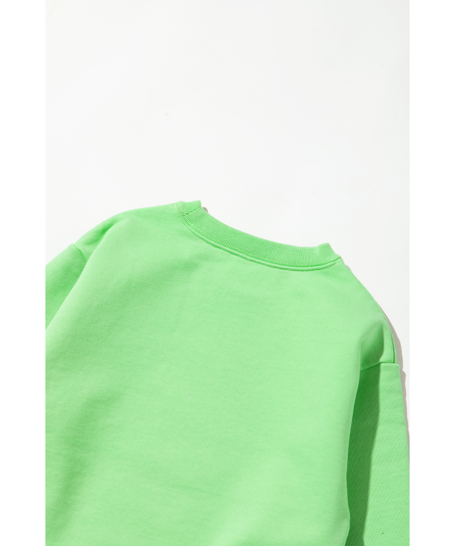 Disney / KIDS SWEAT TOP(グーフィー)【WCJ-TD-002GRN06】
