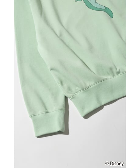 Disney / PETER PAN SWEAT TOP【WCJ-TD-038GRN17】