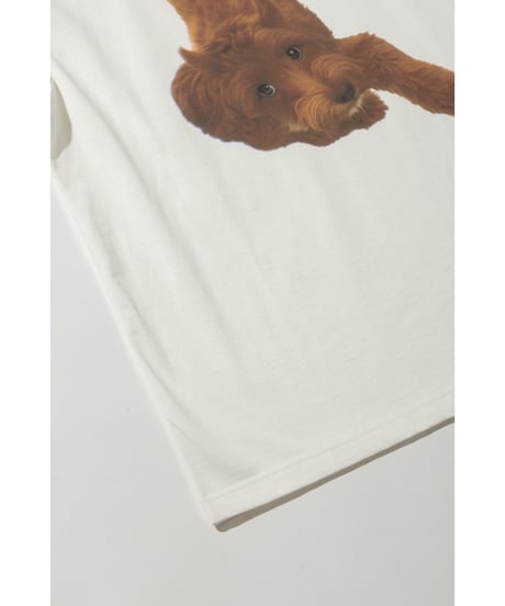 DOG TEE【WCJ-LK-031WHT】