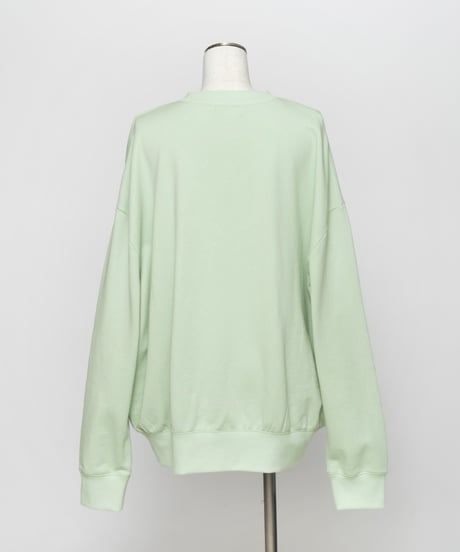 Disney / PETER PAN SWEAT TOP【WCJ-TD-038GRN17】