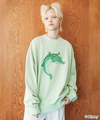 Disney / PETER PAN SWEAT TOP【WCJ-TD-038GRN17】