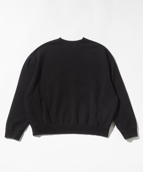 Disney / MICKEY AND FRIENDS SWEAT TOP【WCJ-TD-026BLK】