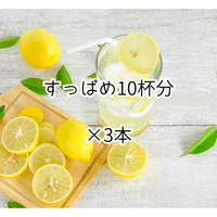 ながさきクラフトレモネード・佐世保シトラス（ファミリーサイズ）2本