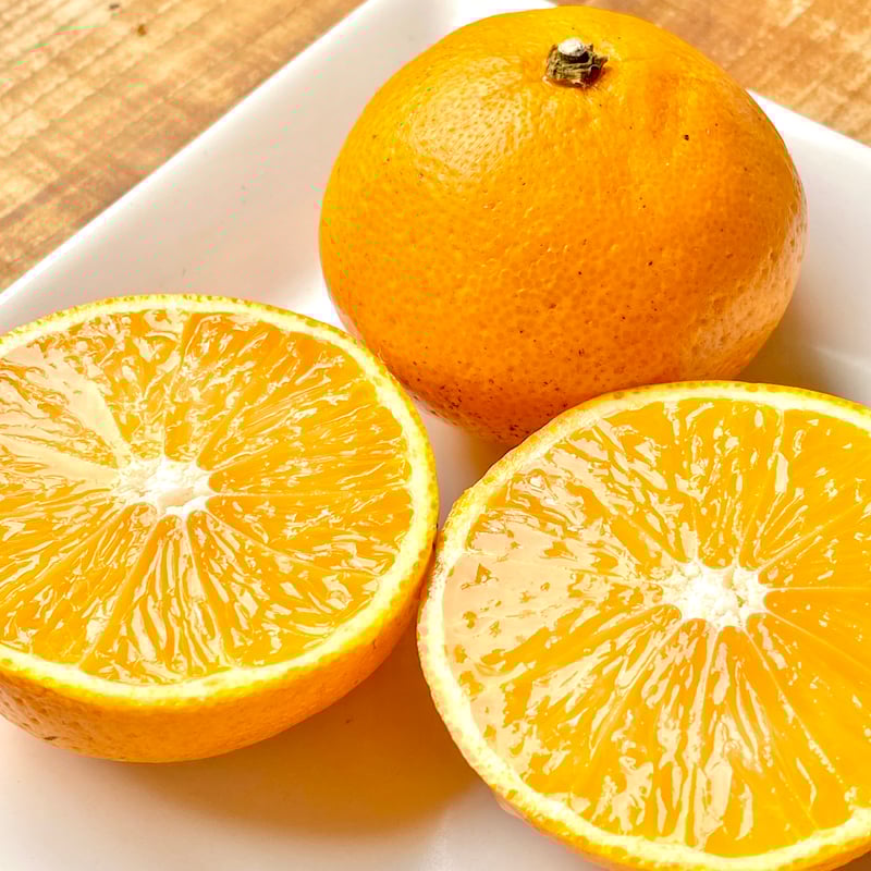 ながさきクラフトレモネード・佐世保シトラス（ファミリーサイズ）2本