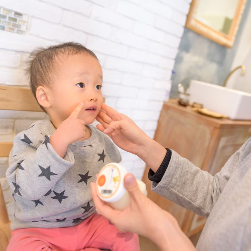 ホメオパシー　学習者用　専門書　セット ホメオパシー 学習者用 専門書 セット