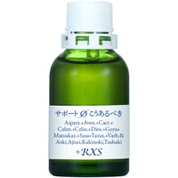 MT)サポートφこうあるべき－ゆるし－