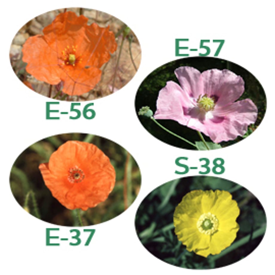 5c40267bb504f54de7018188