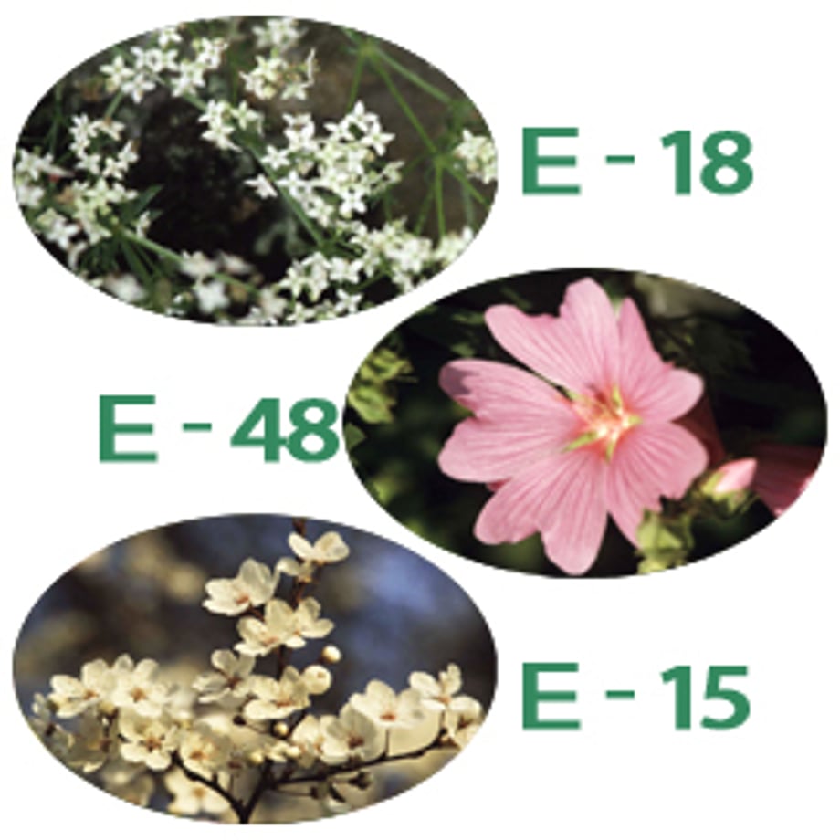 5c40267cb504f54de701819d