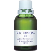 MT)サポートφ魂の目覚め