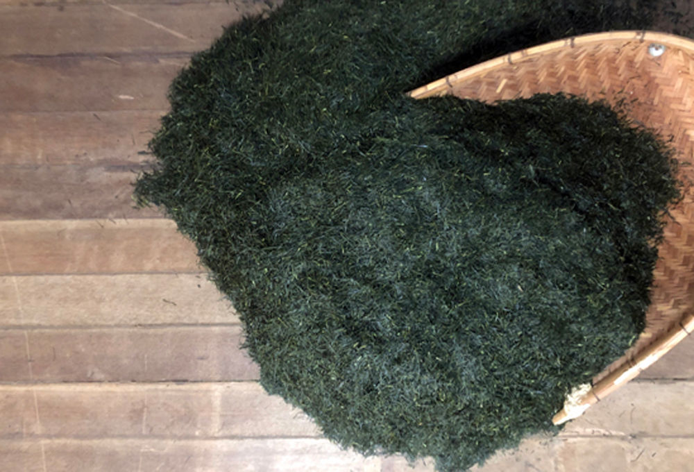 特上煎茶 100g | いはち農園